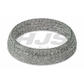 Dichtring, Abgasrohr 83 48 7554 von HJS günstig für 4,49 € online kaufen