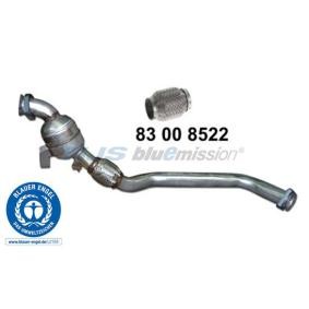 Vorkatalysator 90 12 5306 von HJS günstig für 487,12 € online kaufen