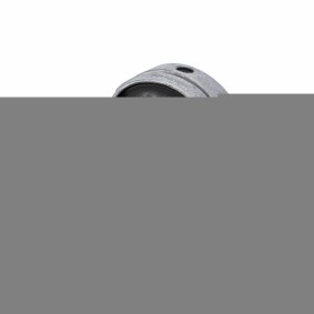 Compre Suporte, motor da OE Germany 800430 a um preço baixo por 142,54 €