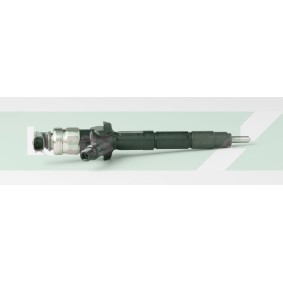 Achetez des Injecteur LUCAS LDFB0381 à prix pour 298,98 €
