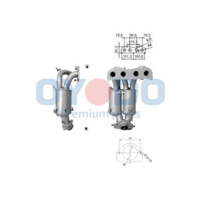 Comprar Catalizador de Oyodo 10N0110-OYO a bajo precio de 560,17 €
