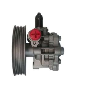 Compre Bomba de direção da SPIDAN 52745 a um preço baixo por 238,03 €