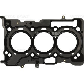 Compre Junta da cabeça do motor de REINZ online para Juke II (F16) a preços moderados