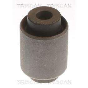 Acquista Supporto braccio oscillante da TRISCAN 8500 68808 a buon mercato per soli 26,11 €