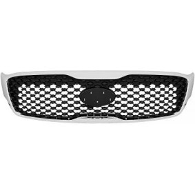 Compre Grelha de radiador da DIEDERICHS 6587040 a um preço baixo por 135,72 €