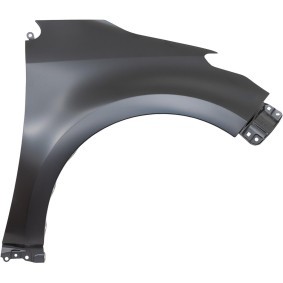 Compre Guarda-lamas de DIEDERICHS online para YARIS (_P21_, _PA1_, _PH1_) a preços moderados