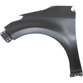 Compre Guarda-lamas de DIEDERICHS online para YARIS (_P21_, _PA1_, _PH1_) a preços moderados