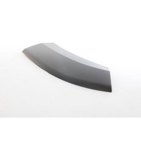 Osta Suoja- / koristelista, lokasuoja BSG:llä BSG 25-922-029 edullisesti hintaan 55,86 €