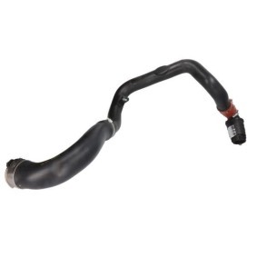 Comprar Tubo flexible de aire de sobrealimentación de THERMOTEC DCR251TT a bajo precio de 173,69 €
