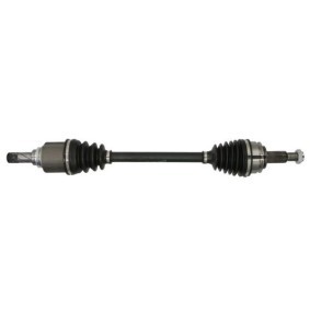 Compre Veio de transmissão de PASCAL online para LAGUNA III (BT0/1) a preços moderados