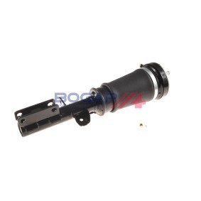 Luftfederbein B3426120 von BOGAP günstig für 513,41 € online kaufen