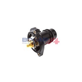 Achetez des Thermostat d'eau BOGAP L4245103 à prix pour 52,90 €