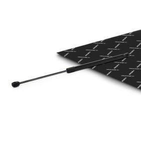 Compre Amortecedor da mala da RIDEX 219G1275 a um preço baixo por 11,03 €