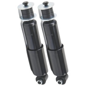 Compre Amortecedor da RIDEX 854S18974 a um preço baixo por 50,84 €