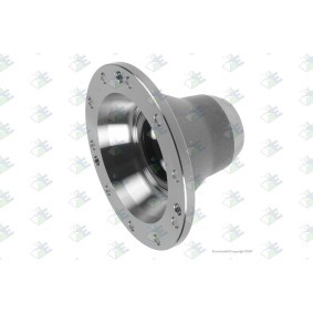 Compre Flange de accionamento, semi-eixo da Euroricambi 74170067 a um preço baixo por 143,01 €