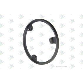 Synchronring, Schaltgetriebe für MERCEDES-BENZ von Euroricambi