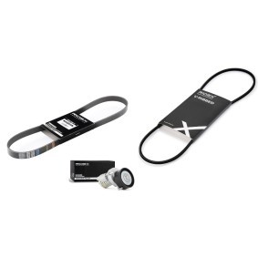 Achetez des Kit de courroie d'accessoire de chez RIDEX en ligne pour Polo III 3/5 portes (6N1) à prix modérés