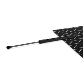 Comprar Amortiguador de maletero de RIDEX 219G1320 a bajo precio de 12,01 €