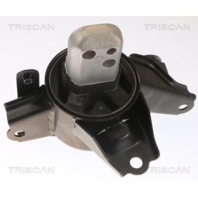 Compre Suporte, motor da TRISCAN 8505 43107 a um preço baixo por 84,23 €