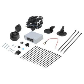 Acquista Kit elettrico per gancio traino da RAMEDER online per Scénic E-Tech a prezzi moderati