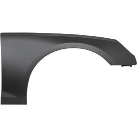 Comprar Guardabarros de DIEDERICHS 1020106 a bajo precio de 172,08 €