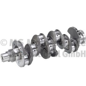 Compre Cambota da BF 20051404811 a um preço baixo por 434,66 €