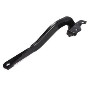 Scharnier, Motorhaube 6802-00-6716452P von BLIC günstig für 17,36 € online kaufen