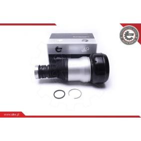 Compre Amortecedor pneumático da ESEN SKV 58SKV071 a um preço baixo por 369,03 €