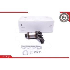 Compre Catalisador da ESEN SKV 62SKV006 a um preço baixo por 284,17 €