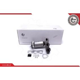 Compre Catalisador da ESEN SKV 62SKV007 a um preço baixo por 285,92 €