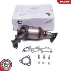 Compre Catalisador da ESEN SKV 62SKV012 a um preço baixo por 282,85 €