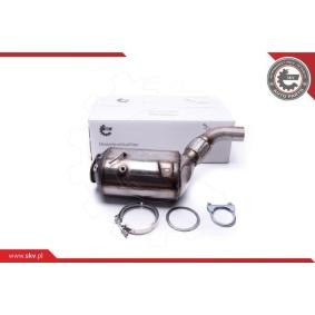 Comprar Filtro de partículas de ESEN SKV 62SKV512 a bajo precio de 647,86 €