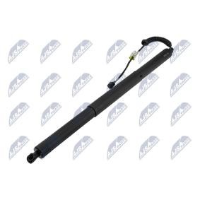 Acquista Ammortizatore pneumatico, Cofano bagagli / vano carico da NTY AE-VW-108 a buon mercato per soli 167,04 €