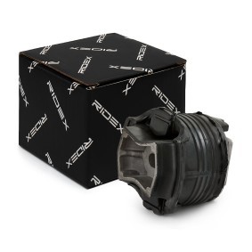 Achskörperlager 1080M0254 von RIDEX günstig für 24,39 € online kaufen