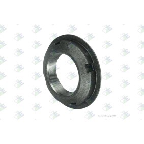 Compre Porca, extremo do eixo da Euroricambi 74170278 a um preço baixo por 11,84 €