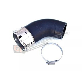 Compre Tubo flexível do ar de sobrealimentação da GT-BERGMANN GT52-045 a um preço baixo por 27,52 €