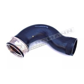 Compre Tubo flexível do ar de sobrealimentação da GT-BERGMANN GT52-065 a um preço baixo por 37,43 €