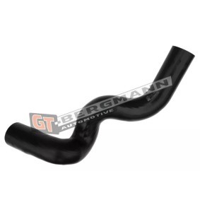 Compre Tubo flexível do ar de sobrealimentação da GT-BERGMANN GT52-120 a um preço baixo por 35,60 €