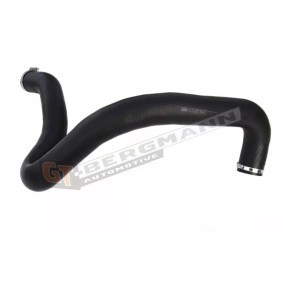 Compre Tubo flexível do ar de sobrealimentação da GT-BERGMANN GT52-188 a um preço baixo por 53,43 €