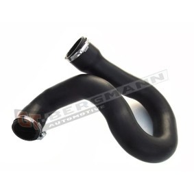 Comprar Tubo flexible de aire de sobrealimentación de GT-BERGMANN GT52-189 a bajo precio de 48,22 €
