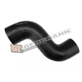 Compre Tubo flexível do ar de sobrealimentação da GT-BERGMANN GT52-206 a um preço baixo por 20,20 €