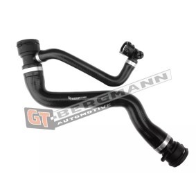 Comprar Tubería de radiador de GT-BERGMANN GT52-210 a bajo precio de 44,34 €
