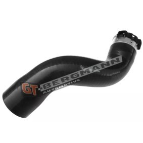 Compre Tubo flexível do ar de sobrealimentação da GT-BERGMANN GT52-242 a um preço baixo por 80,39 €
