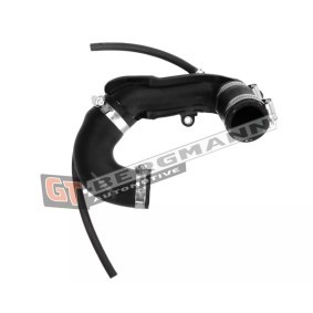 Compre Tubo flexível do ar de sobrealimentação da GT-BERGMANN GT52-250 a um preço baixo por 43,87 €