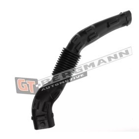 Compre Tubo flexível, alimentação de ar da GT-BERGMANN GT52-253 a um preço baixo por 22,44 €