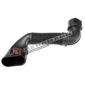 Compre Tubo flexível, alimentação de ar da GT-BERGMANN GT52-254 a um preço baixo por 32,71 €