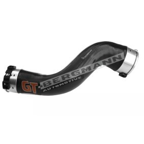 Compre Tubo flexível do ar de sobrealimentação da GT-BERGMANN GT52-266 a um preço baixo por 62,24 €