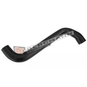 Compre Tubo intercooler de GT-BERGMANN online para Movano Volquete (X70) a precios moderados
