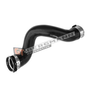 Compre Tubo flexível do ar de sobrealimentação da GT-BERGMANN GT52-326 a um preço baixo por 65,05 €