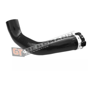 Compre Tubo flexível do ar de sobrealimentação da GT-BERGMANN GT52-357 a um preço baixo por 66,41 €